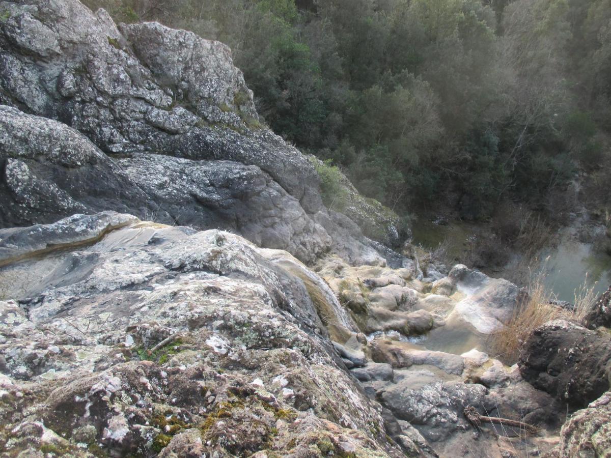 Podere Pian Dei Gelsi Volterra Eksteriør bilde