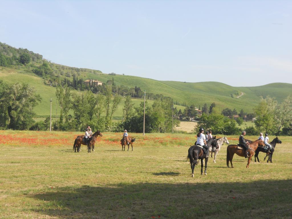 Podere Pian Dei Gelsi Volterra Eksteriør bilde